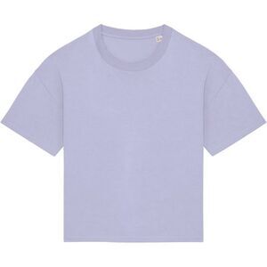 Native Spirit Womens/Ladies Oversized T-Shirt / Parma